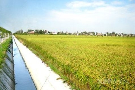南通水利局对农村水利建设河道整治各项工作考核位于全省前列