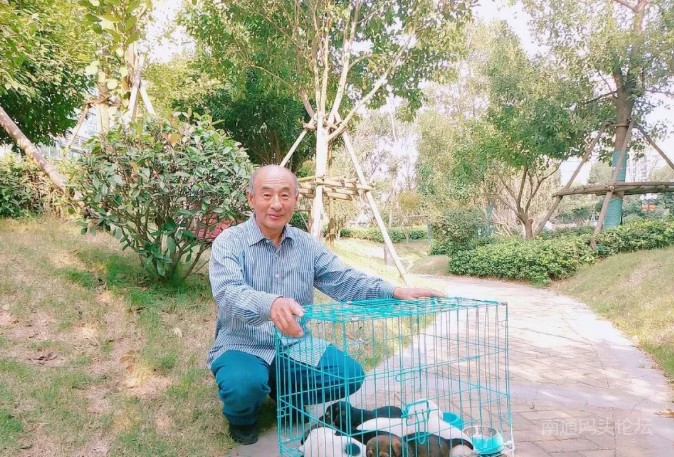 启东“小动物保护协会”为“恒大海上威尼斯”社区妥善安置六只流浪小狗