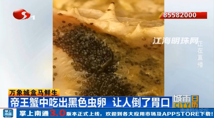 南通万象城盒马鲜生卖的帝王蟹中吃出黑色虫卵 调查发现原来是蟹的一种寄生虫蟹蛭卵