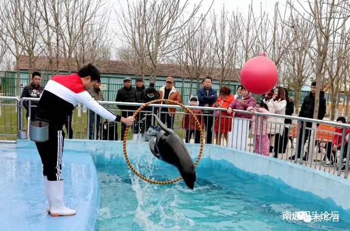 启东首家动物园就在江天生态园！2月1日开放