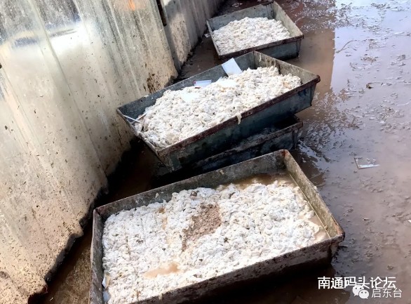 今天，15吨过期虾仁被集中销毁