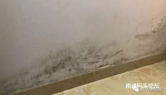 如东县城碧桂园小区一住户家卫生间多次漏水，存隐患引担忧