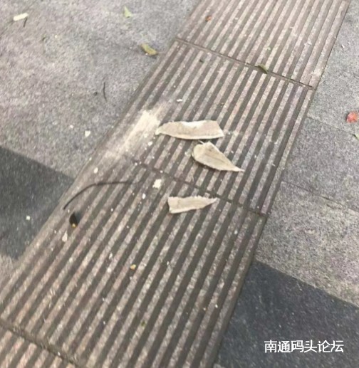 危险！！如东文峰财富广场某街道高层有石膏板掉落！千万别走这里！