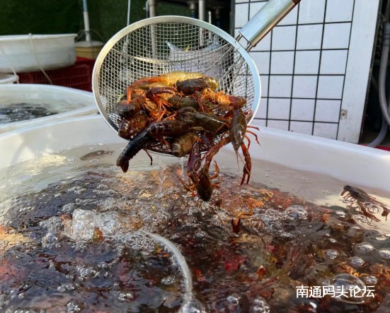 小龙虾价格大跳水！你在栟茶吃的龙虾多少一斤？
