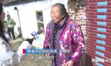 心惊胆战！网友求助:“海安城东一危房屋内还能住人？