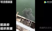 突发！重庆一辆公交车与小轿车相撞坠江沉底，两人死亡！