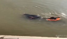 南通通州金沙北洋桥下，两名老人跳河自杀，被救上岸抢救无效不幸身亡！